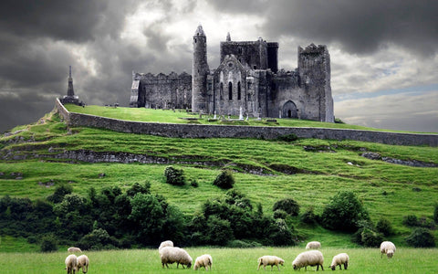 5 Night Ireland Castle Vacation